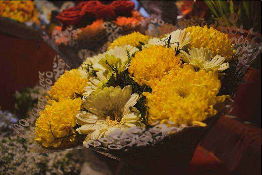 Sélection de fleurs