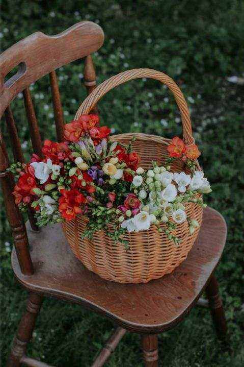 Bouquet abonnement