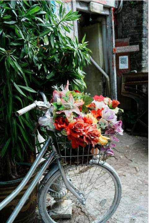 Arche de fleurs